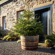 Rustic Oak Barrel Christmas Tree Planter